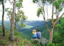 lamington national park australia tourism travel discoveraustralia au