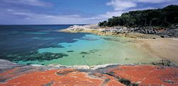 Flinders Island