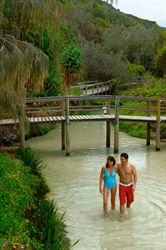 Fraser Island Fraser Coast Queensland
