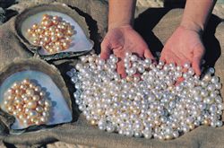 Broome Pearls Broome Australia